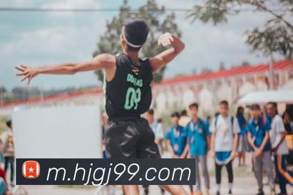 皇家赌场hjdc服务体系